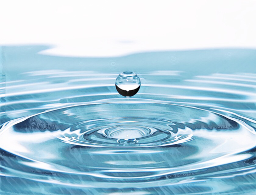 ⚜️  ¿Qué son Palabras gatillo, en Ho’oponopono?