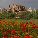 La imagen actual no tiene texto alternativo. El nombre del archivo es: 1-flores-de-Bach.jpg